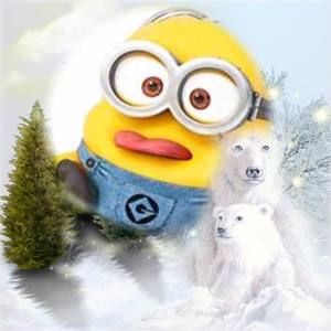 Meet your Posher, Dawn